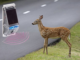 Συστήματα Προστασίας Ζώων στο Οδικό Δίκτυο Συστήματα Προστασίας Ζώων στο Οδικό Δίκτυο